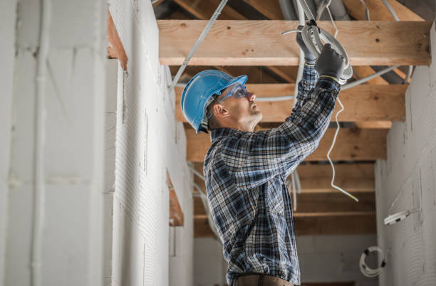 Best Licensed Electrician  in Lake Hamilton, AR